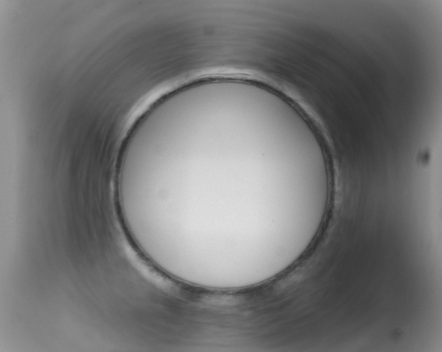 X0000114691237200910211047