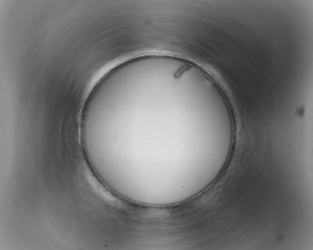 X0000114691238200910211047