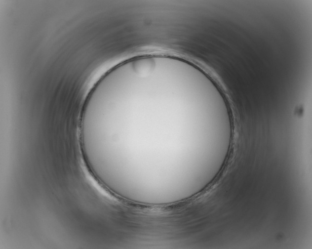 X0000114691239200910211047