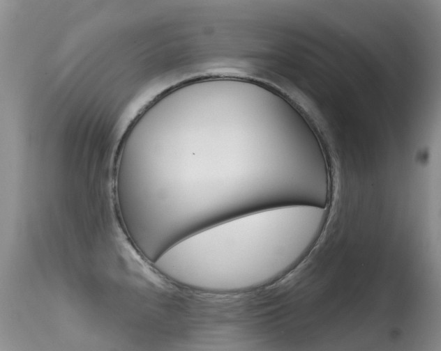 X0000114691240200910211047