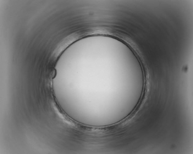 X0000114691241200910211047