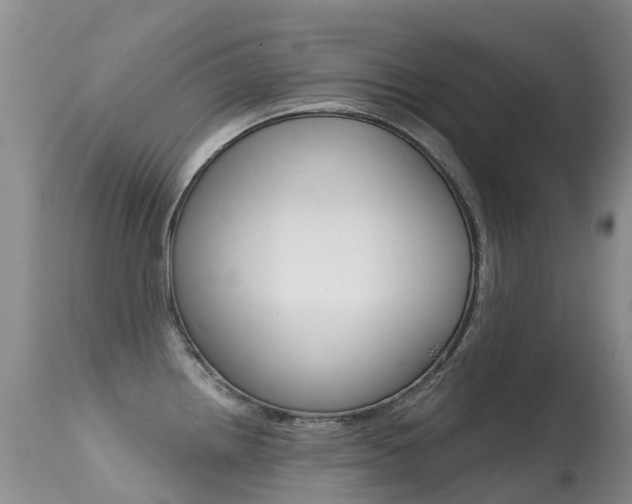 X0000114691242200910211047