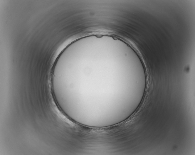 X0000114691243200910211047