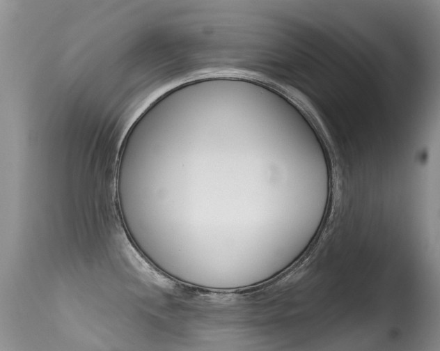 X0000114691244200910211047