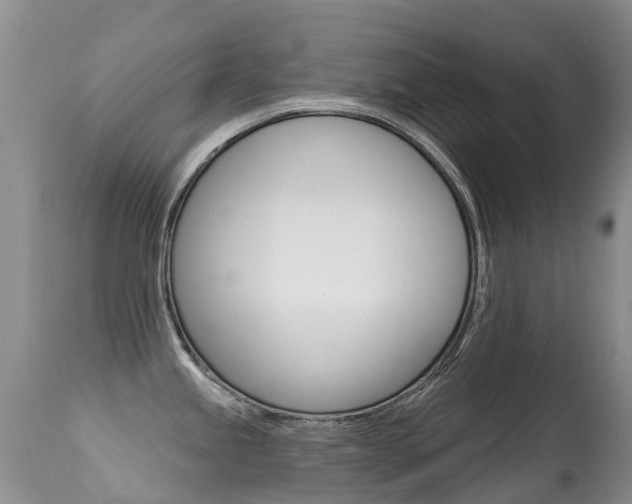 X0000114691245200910211047
