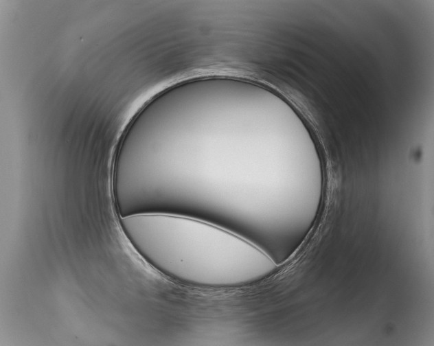 X0000114691246200910211047