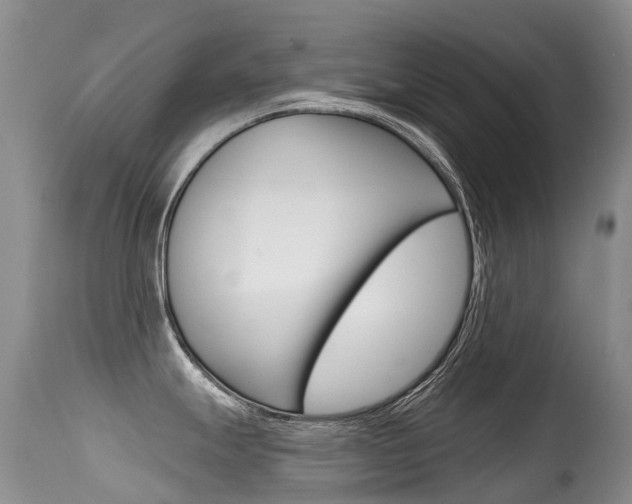 X0000114691247200910211047