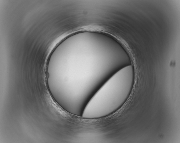 X0000114691248200910211047