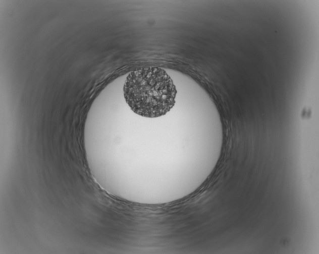 X0000114691249200910211046