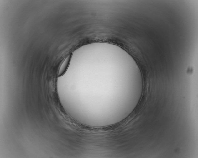 X0000114691250200910211046
