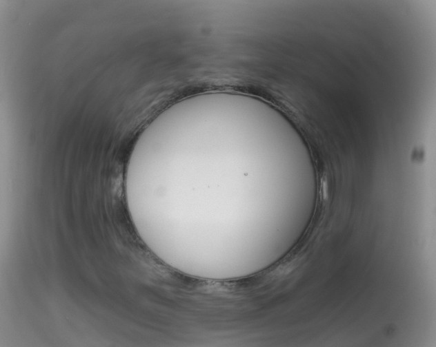 X0000114691251200910211046