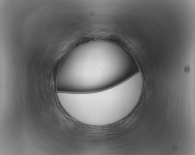 X0000114691252200910211046