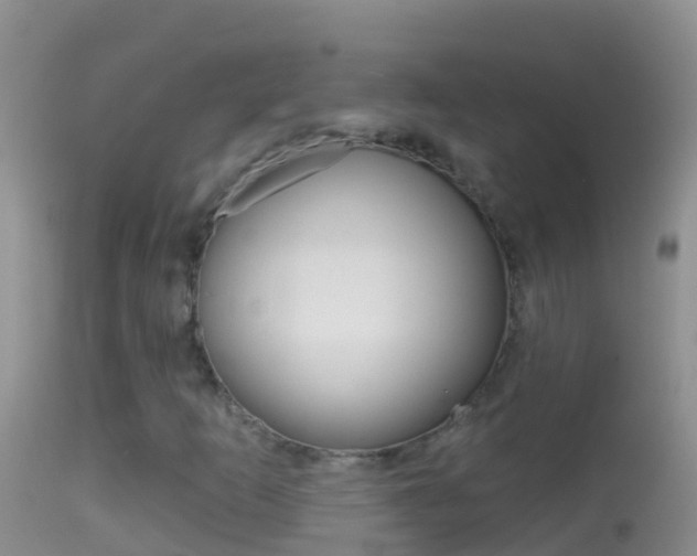 X0000114691253200910211046