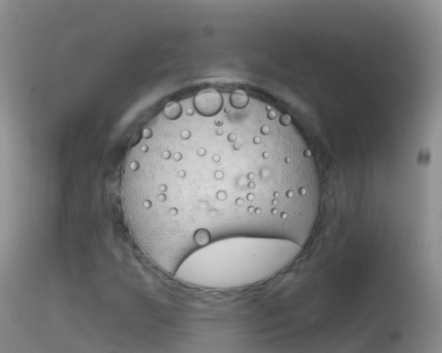 X0000114691255200910211046