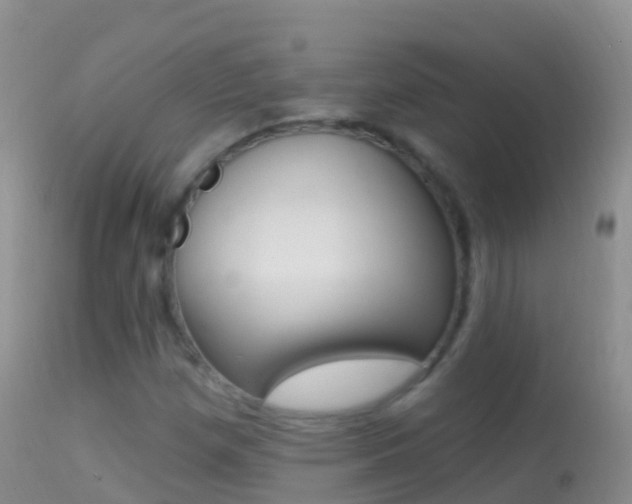 X0000114691257200910211046