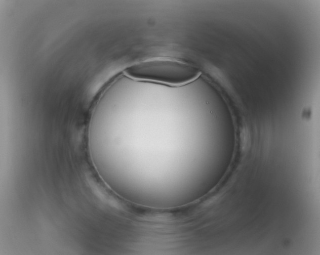 X0000114691260200910211046