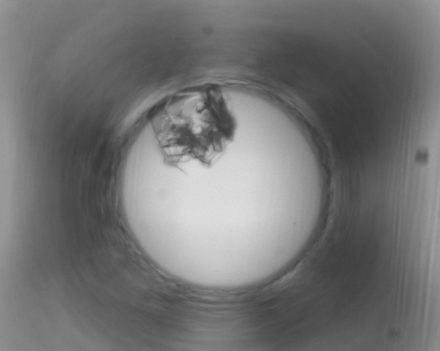 X0000114691261200910211046
