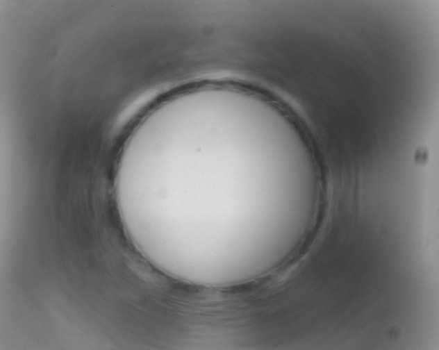 X0000114691263200910211046
