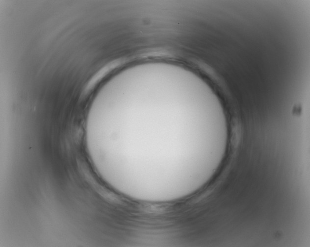 X0000114691266200910211046