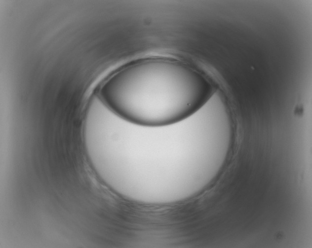 X0000114691268200910211046
