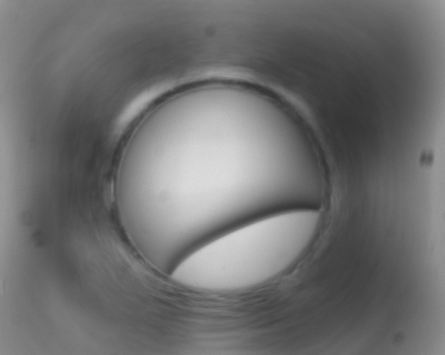 X0000114691271200910211046
