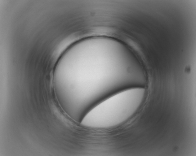 X0000114691275200910211046