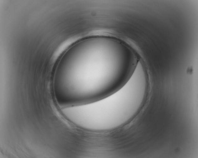 X0000114691277200910211046