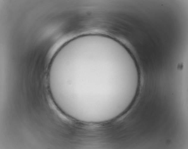 X0000114691278200910211046