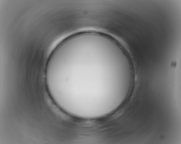X0000114691279200910211046