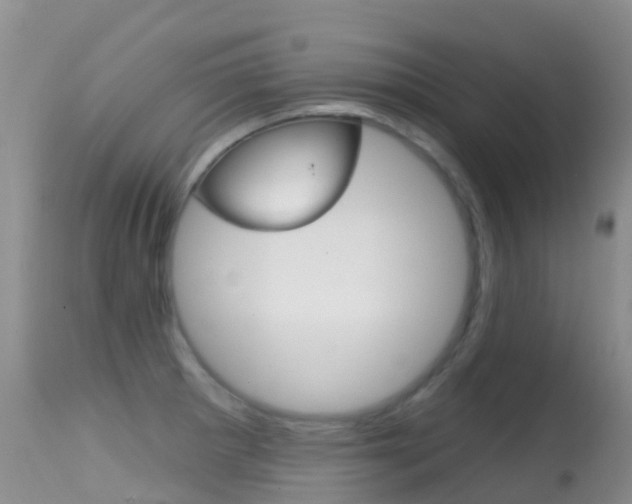 X0000114691281200910211046