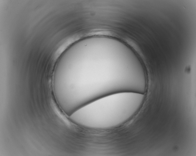 X0000114691282200910211046