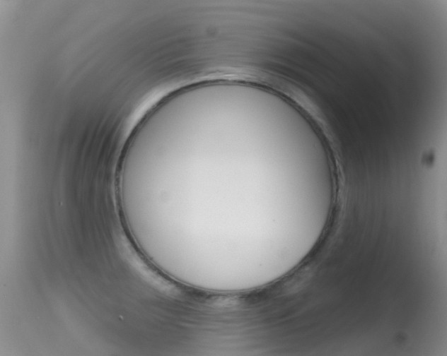 X0000114691283200910211046