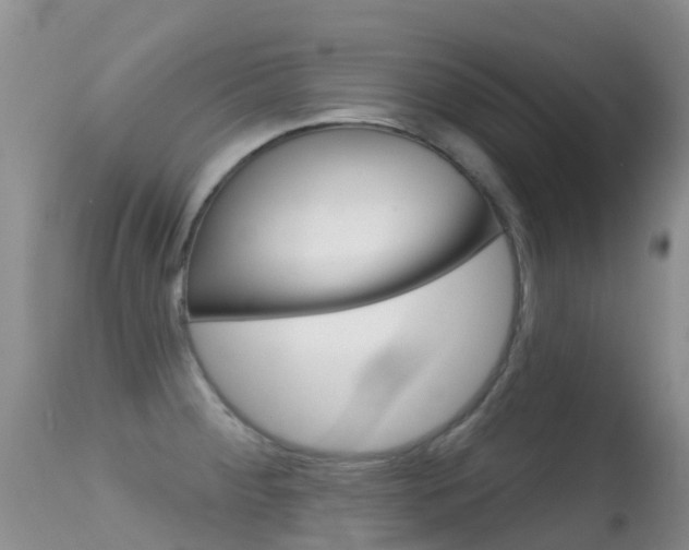 X0000114691284200910211046