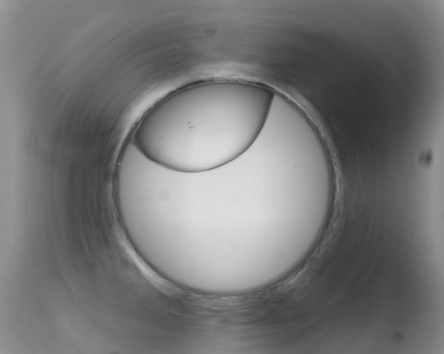 X0000114691285200910211046