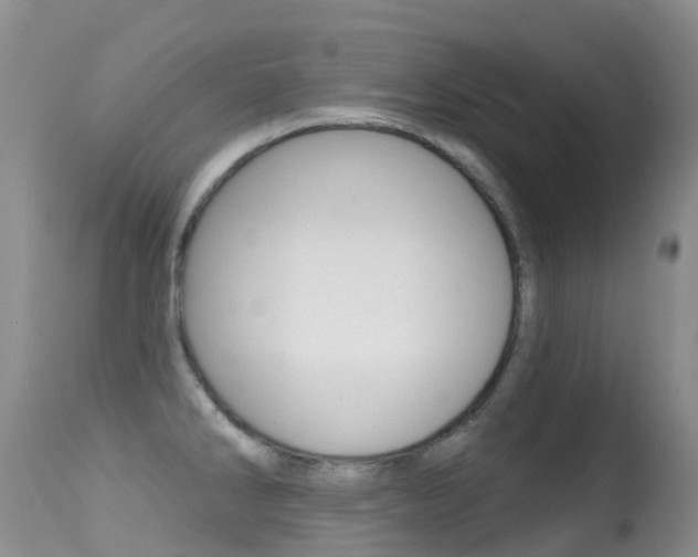 X0000114691286200910211046