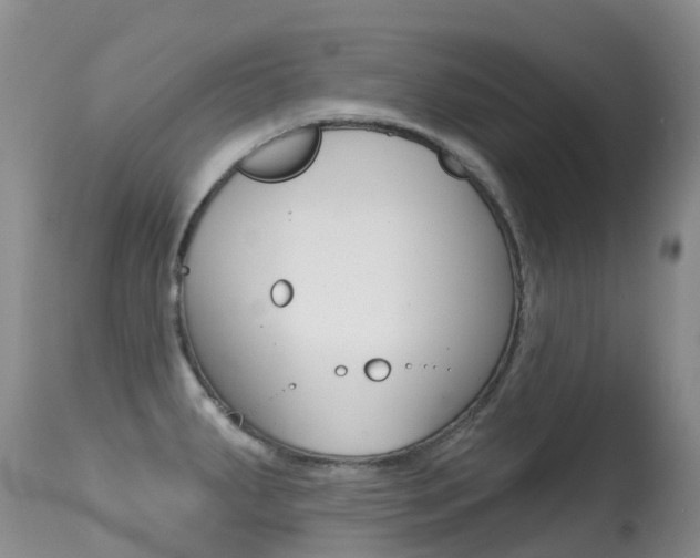 X0000114691287200910211046