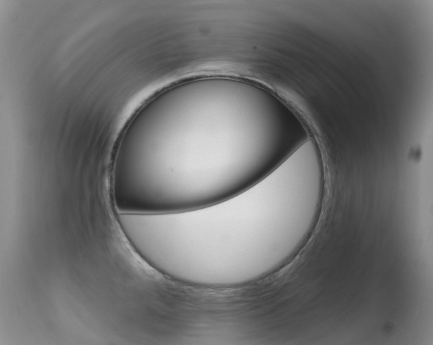 X0000114691288200910211046