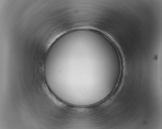 X0000114691289200910211046