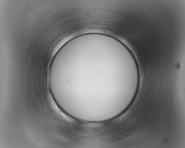 X0000114691290200910211046