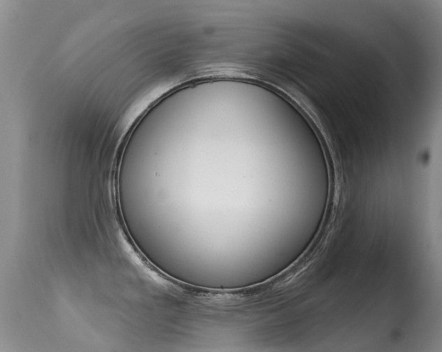 X0000114691293200910211046