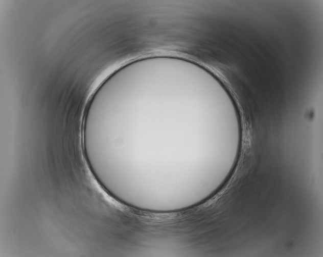 X0000114691294200910211046