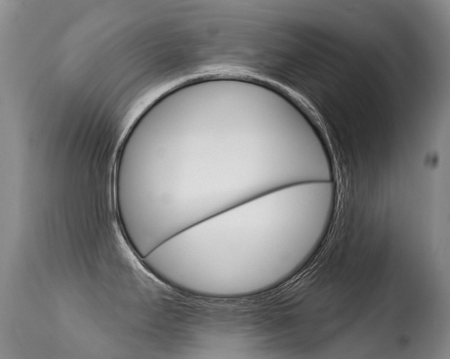 X0000114691295200910211046