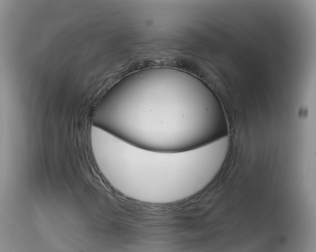 X0000114691298200910211045