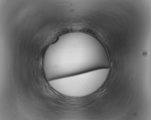 X0000114691299200910211045