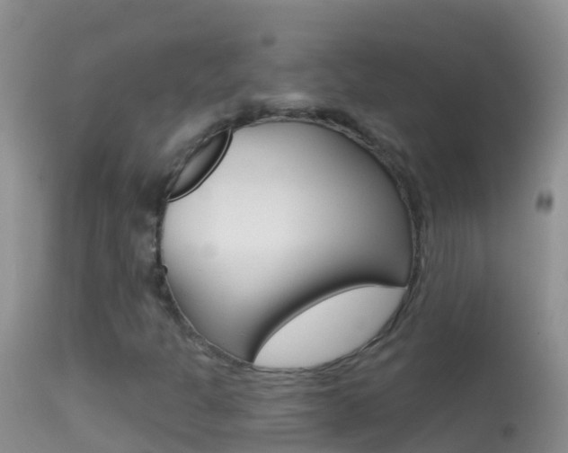 X0000114691301200910211045