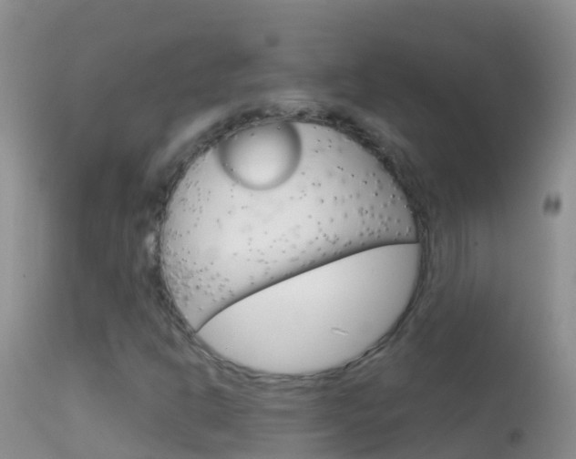 X0000114691302200910211045