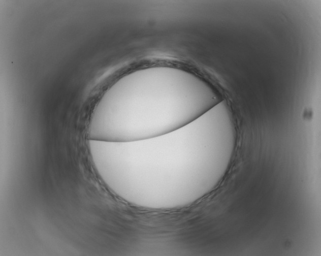 X0000114691303200910211045