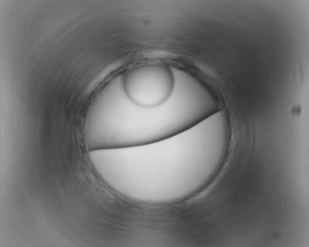 X0000114691305200910211045