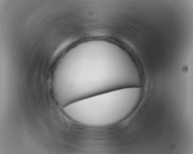 X0000114691306200910211045