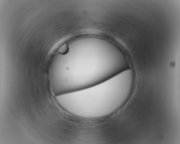 X0000114691307200910211045